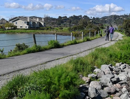 San Rafael approves path lighting compromise