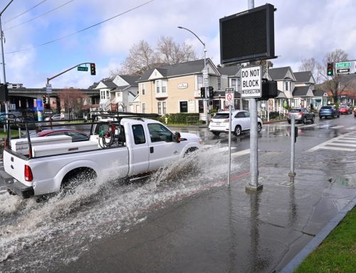 ‘On the clock’: San Rafael scrambles for sea-level defense